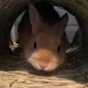 Meet your Posher, Maya kate